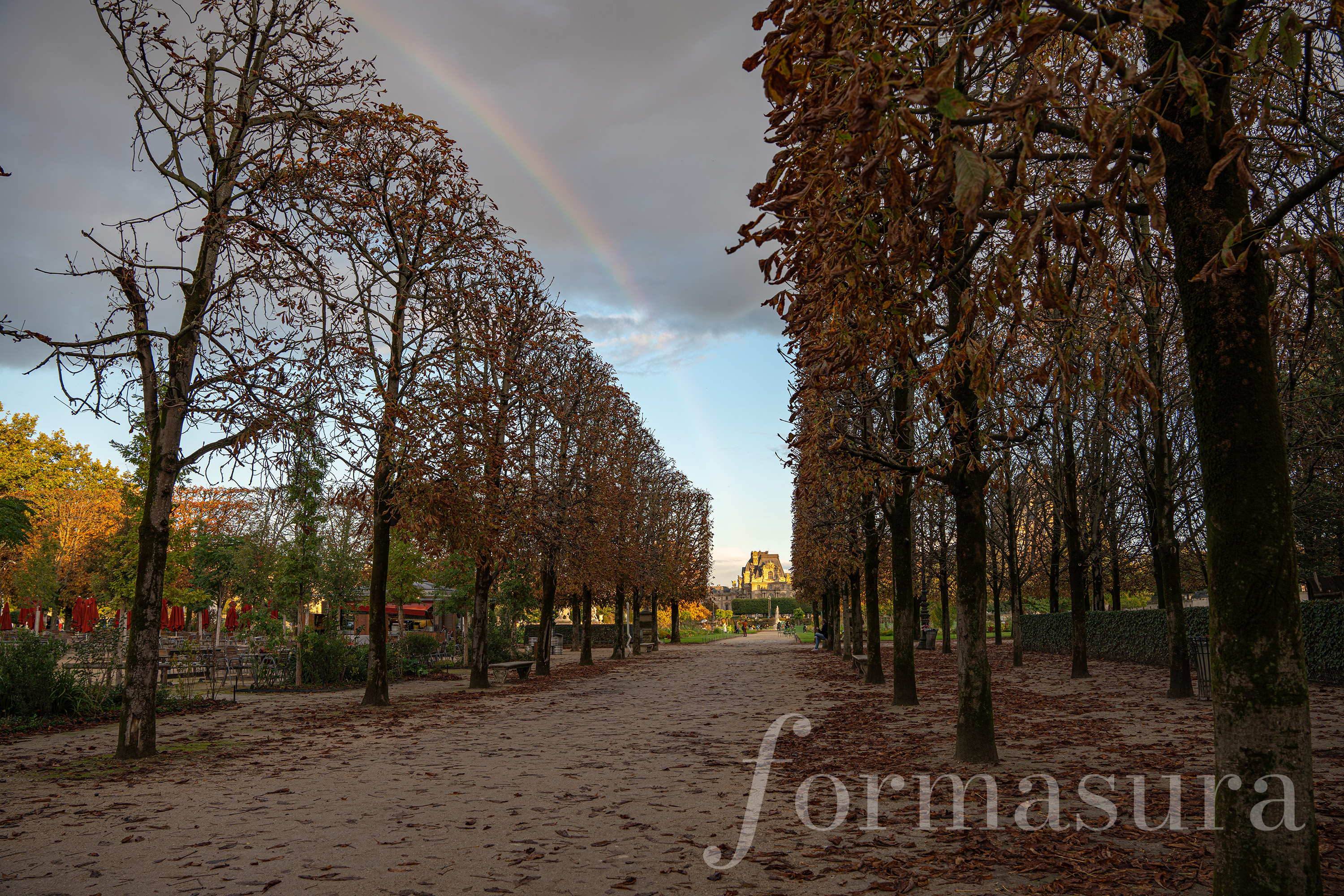 Le lieu de la demande en mariage, Paris