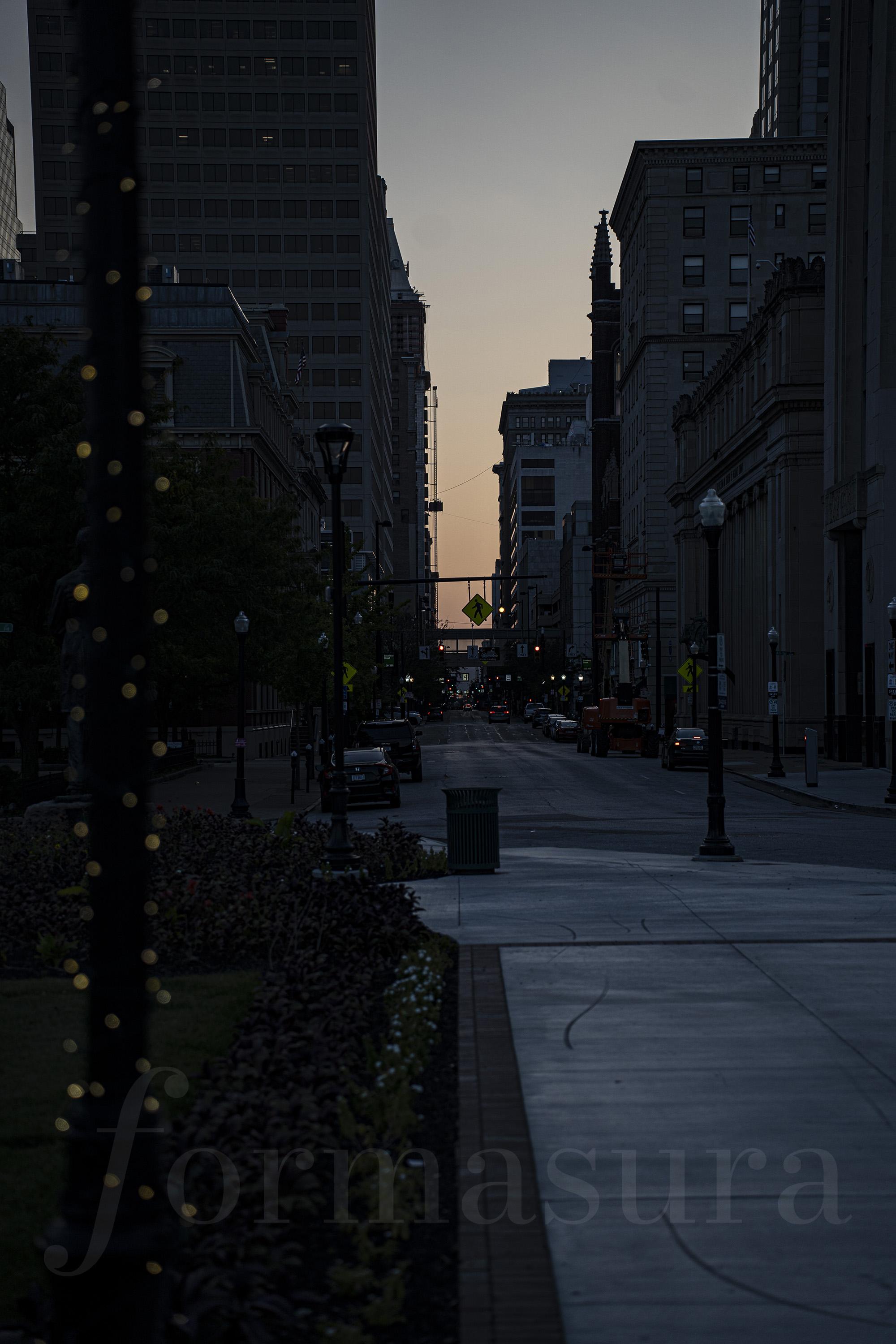Fireflies, Lytle Park