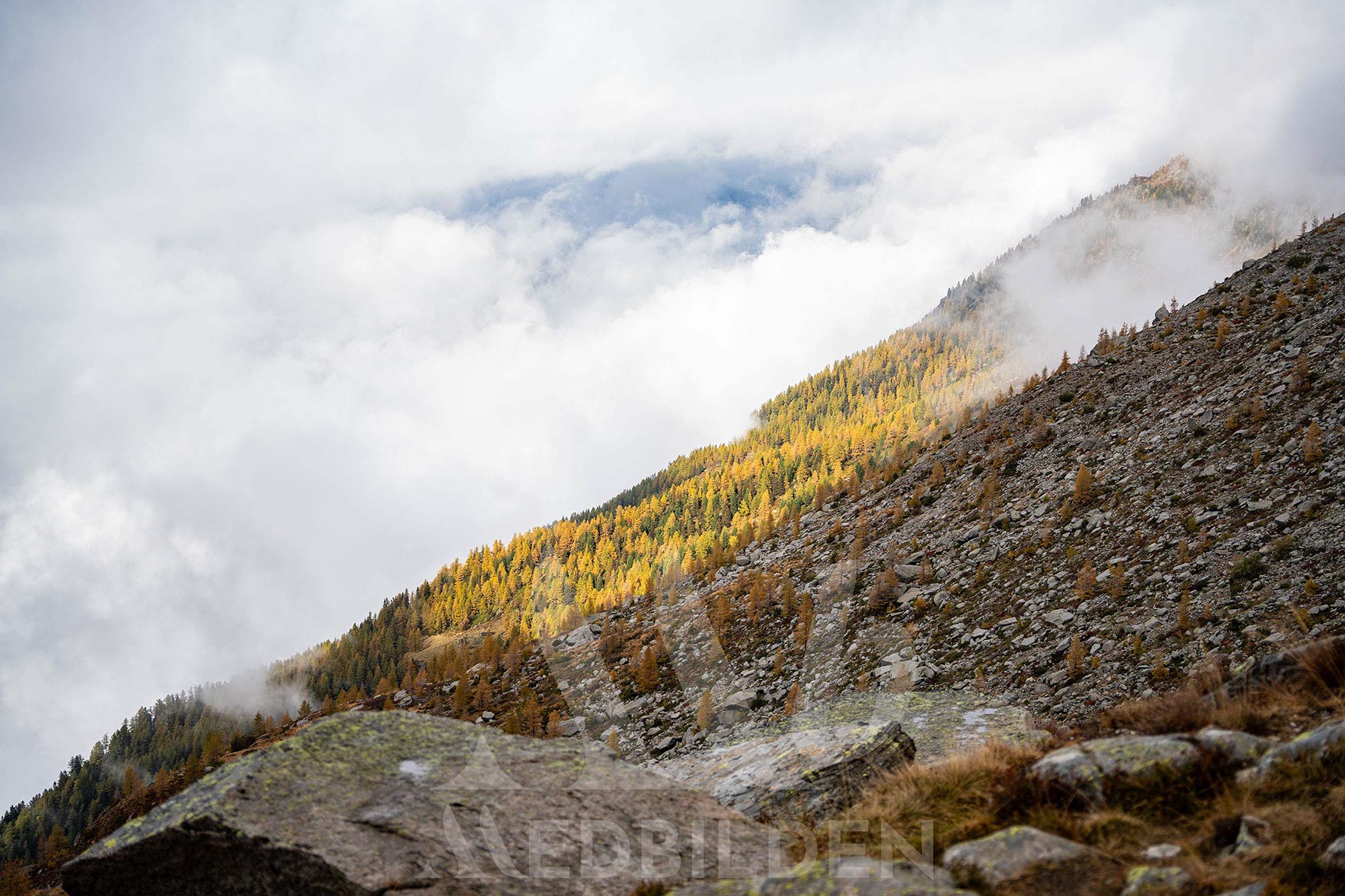 View of peaks above the cloud deck from Mont Blanc