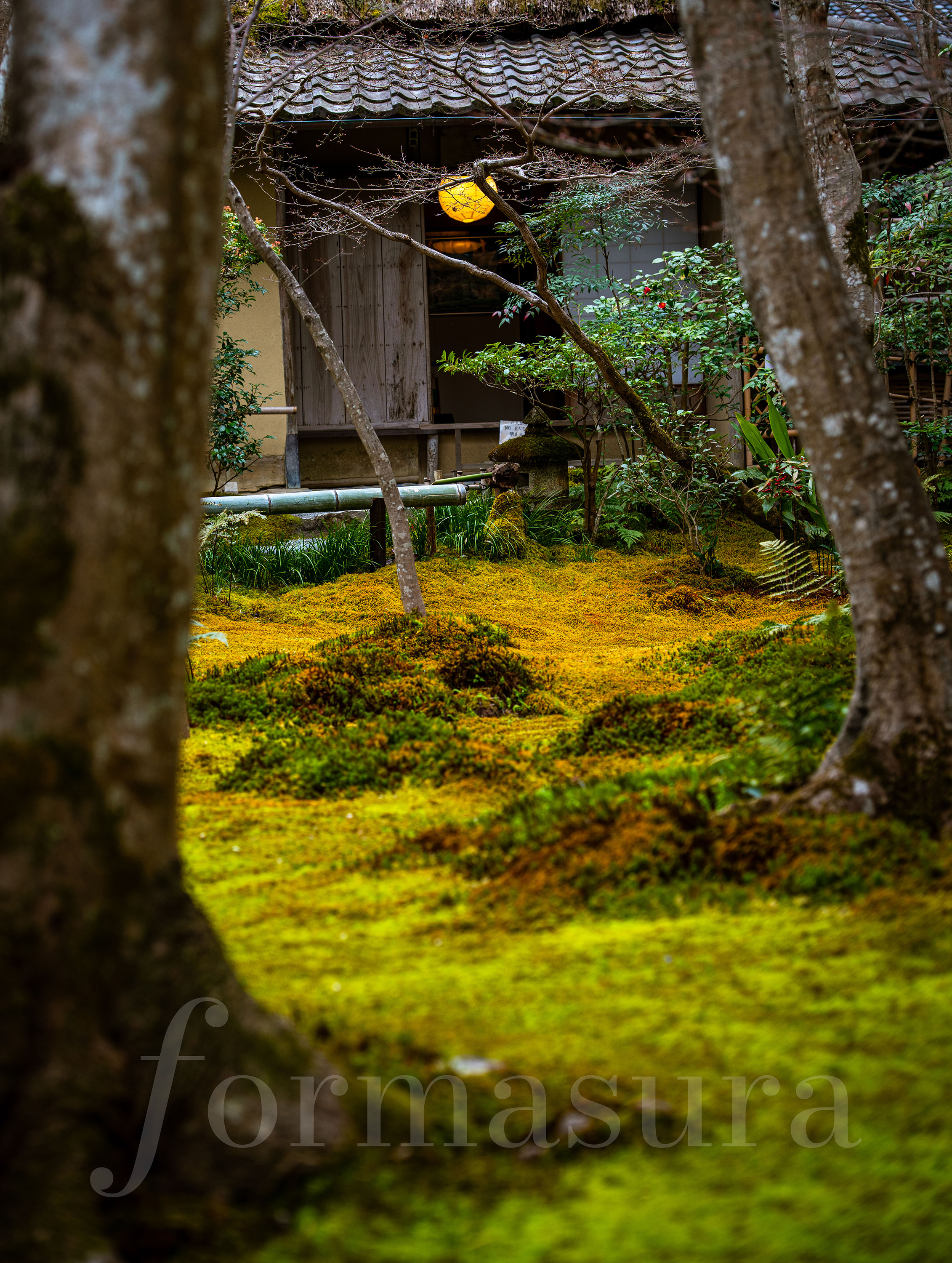 Gioji Temple, Kyoto